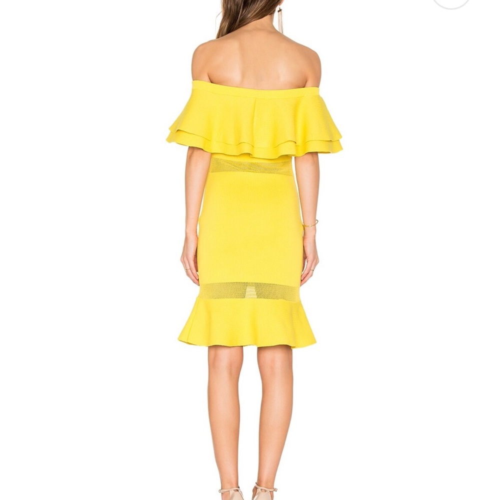 Endless Rose dress